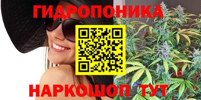 спиды Дубна