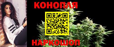 спиды Дубна